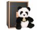 Les authentiques - panda - taille 20 cm - boîte c