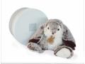 Lapin marius - taille 20 cm - boîte cadeau - Histoire d'ours - HO2296