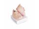 CHAUSSONS BEBE Rose