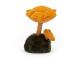 Peluche Wild Nature Chanterelle Mushroom - L: 8 cm x l : 9 cm x H: 16 cm