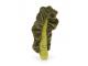 Peluche Vivacious Vegetable Kale Leaf - l : 7 cm x H: 21 cm
