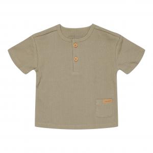 T-shirt manches courtes Olive - 80 - Little-dutch - CL12913614