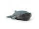 Wiley Whale - L: 19 cm x l: 50 cm x h: 17 cm