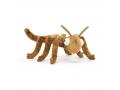Peluche Stanley Stick Insect - L: 27 cm x H: 8 cm - Jellycat - STAN3S